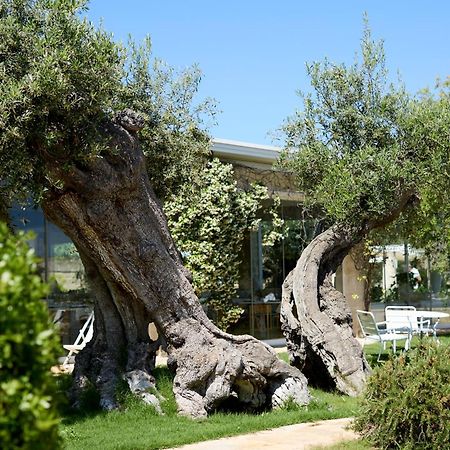 Masseria Torre Del Diamante Torre Canne Dış mekan fotoğraf