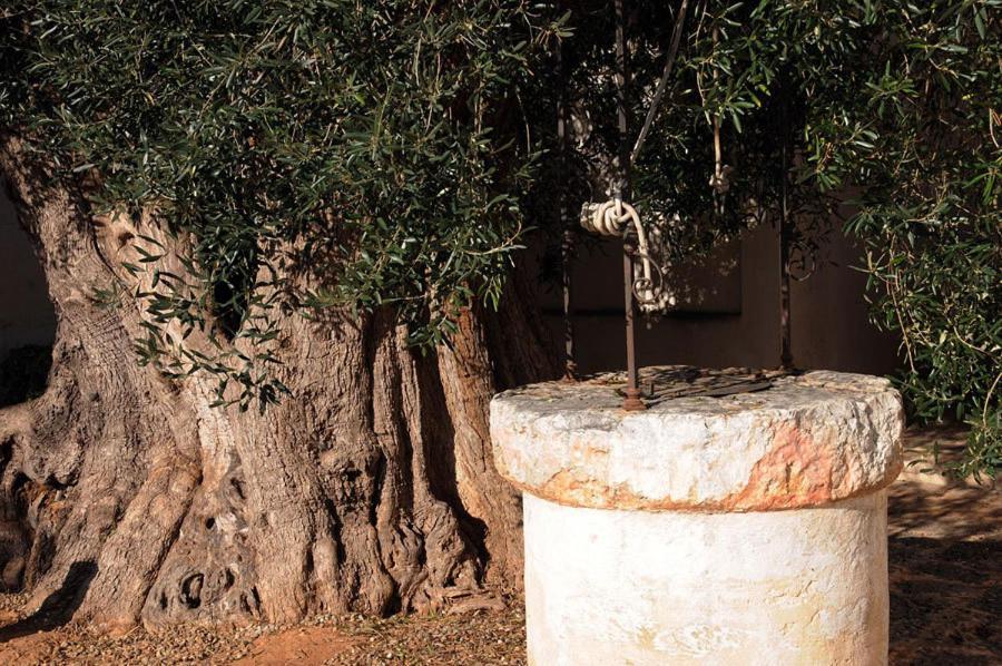 Masseria Torre Del Diamante Torre Canne Dış mekan fotoğraf