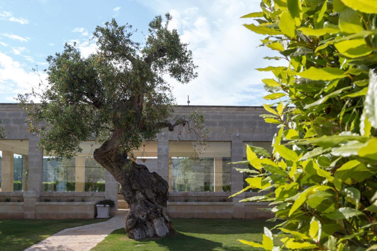 Masseria Torre Del Diamante Torre Canne Dış mekan fotoğraf