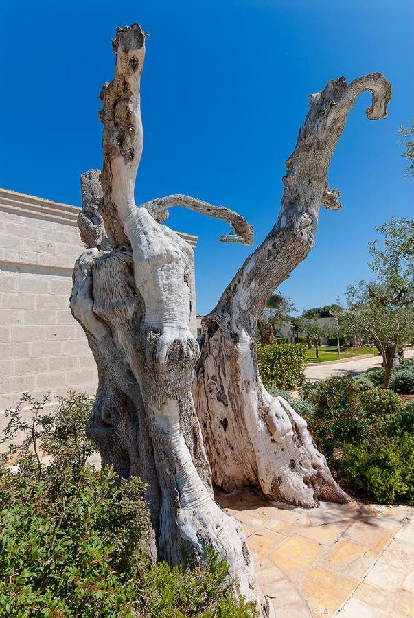 Masseria Torre Del Diamante Torre Canne Dış mekan fotoğraf