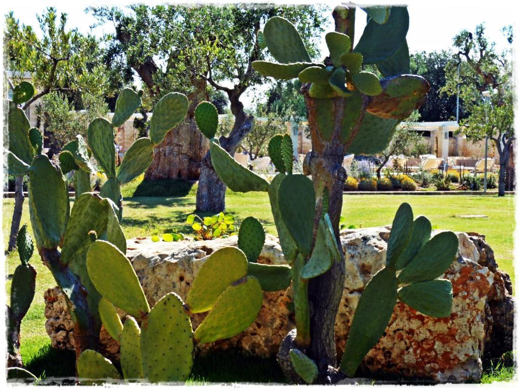 Masseria Torre Del Diamante Torre Canne Dış mekan fotoğraf